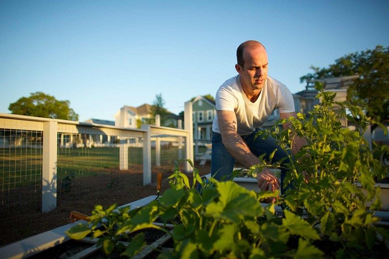 The River District - Farm