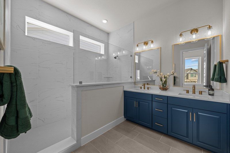The Dane - Owner's Bath
