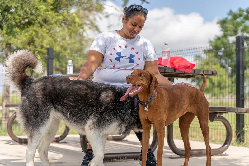 The Colony - Dog Park