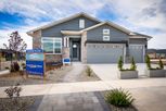 Wolf Ranch - Enclave Collection - Colorado Springs, CO