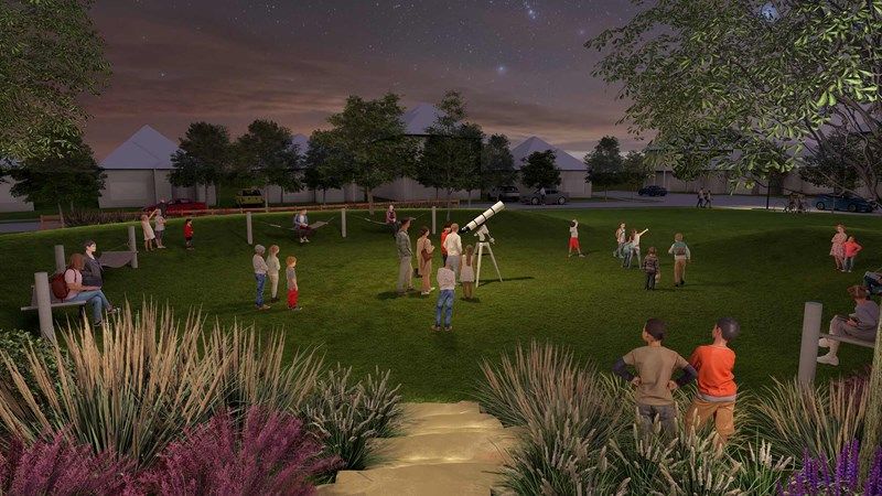 Treeline - Sky Park