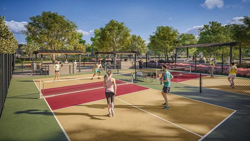 Treeline - Pickle Ball