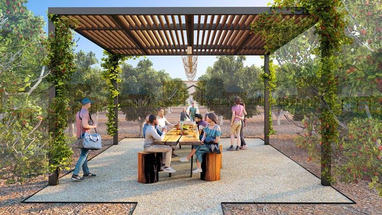 Treeline - The Grove