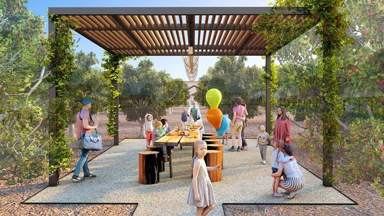 Treeline - The Grove