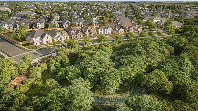 Treeline - The Lookout