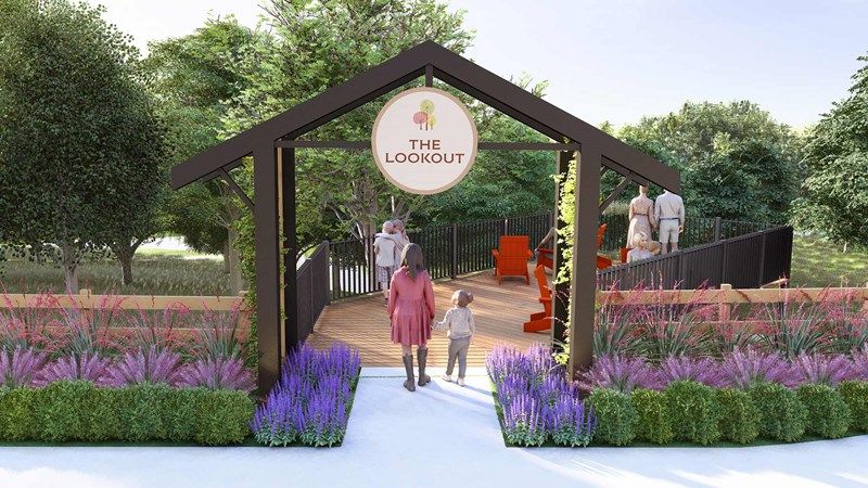 Treeline - The Lookout