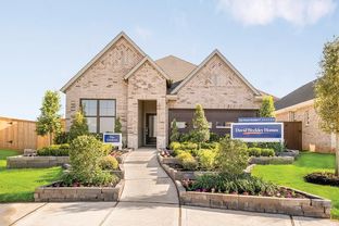 Gardenia - Jubilee: Hockley, Texas - David Weekley Homes