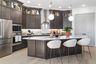 homes in Brookewater 55’ Homesites by David Weekley Homes