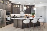 Brookewater 55’ Homesites - Rosenberg, TX