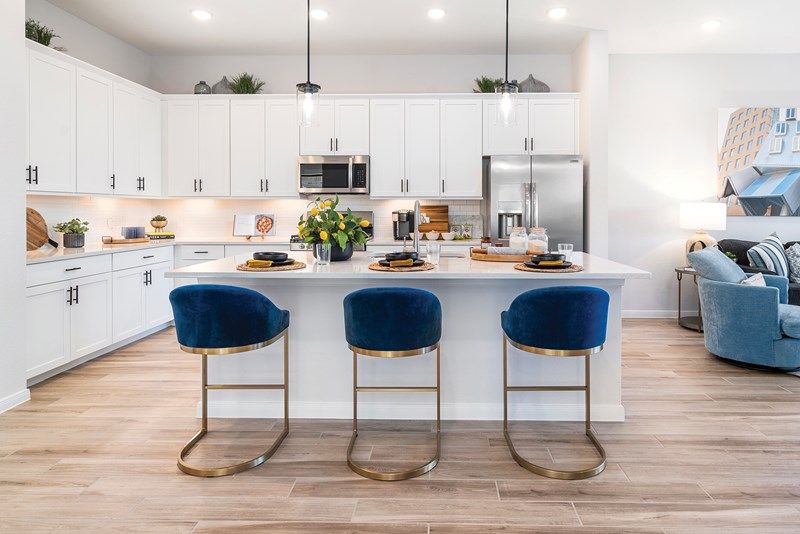 The Gardenia - Kitchen