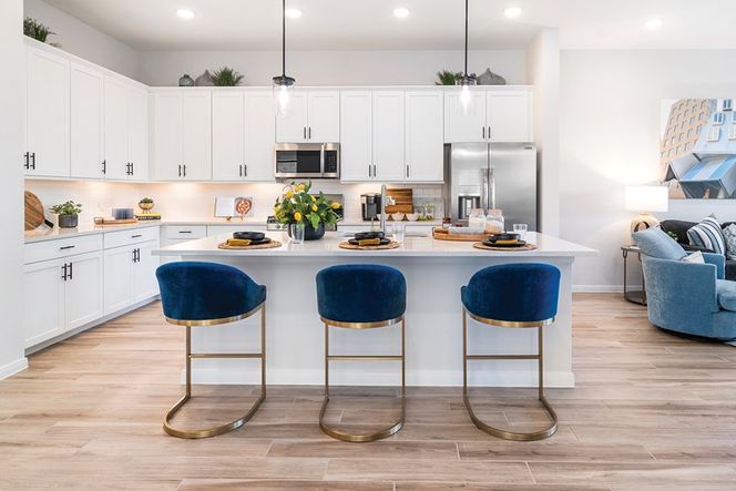 The Gardenia - Kitchen