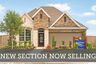 casa en Meridiana 45' Homesites por David Weekley Homes