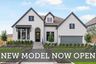 homes in The Woodlands Hills 60’ by David Weekley Homes