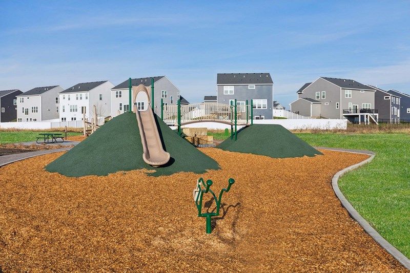 Amber Fields Amenities