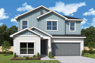 Bradson - Waterset Tradition Series: Apollo Beach, Florida - David Weekley Homes
