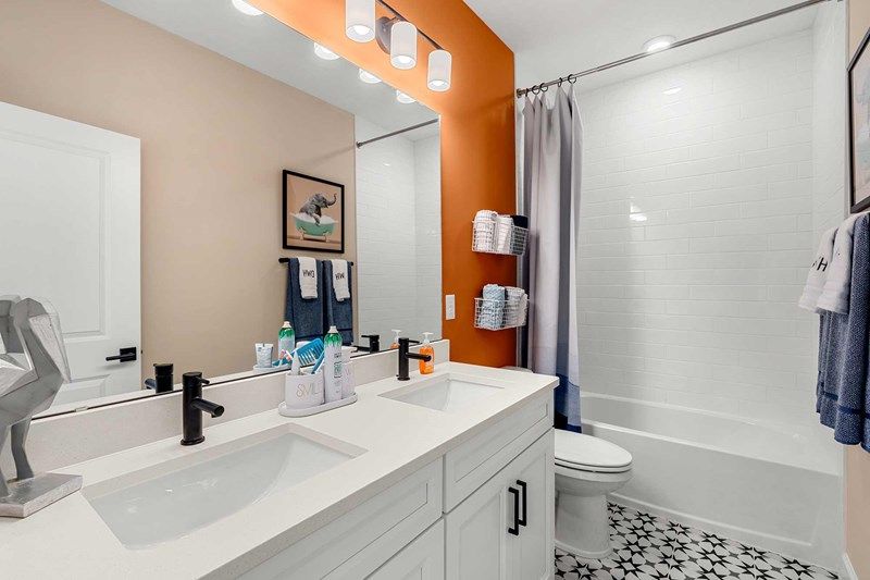 The Seahorse - Bath