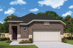 11231 Common Hackberry Street (Flatonia)