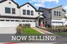 casa en Easton Park - Nelson Village - Jewel Series por David Weekley Homes