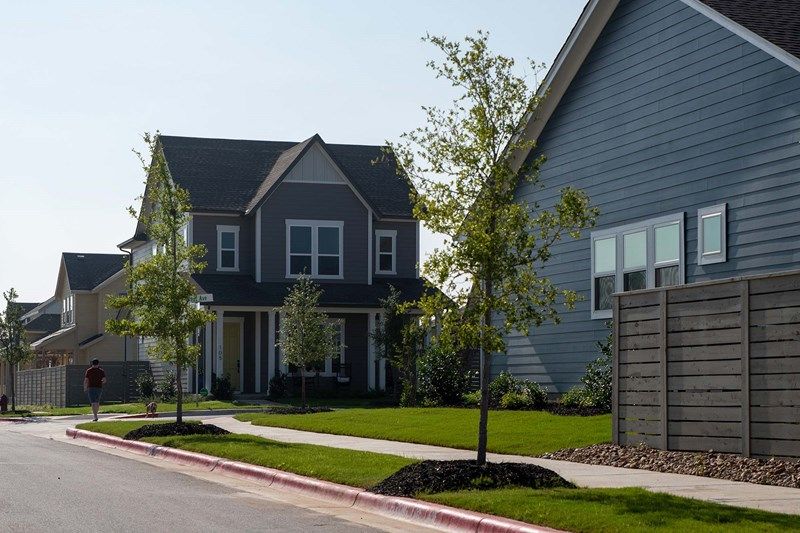 Adelton - Dog Walking