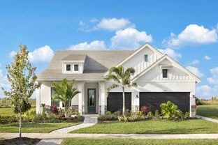 Rubytail - Palmera Wellen Park: Venice, Florida - David Weekley Homes