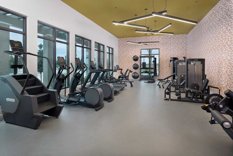 Visteria of Venice - Amenities