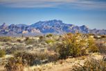 Preserve Ranch - Scottsdale, AZ