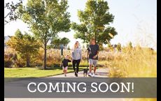 Ridgeline: McKinney, Texas - David Weekley Homes