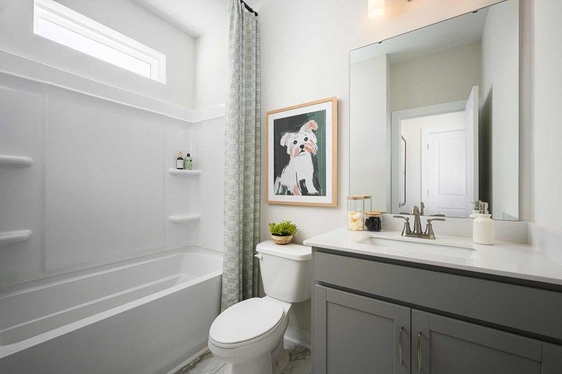 The Wilkes - Bath