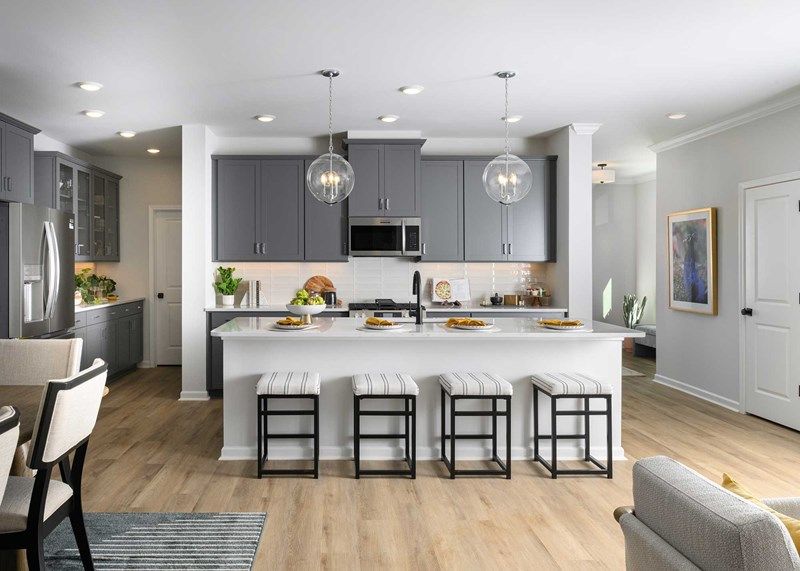 The Lemley - Kitchen