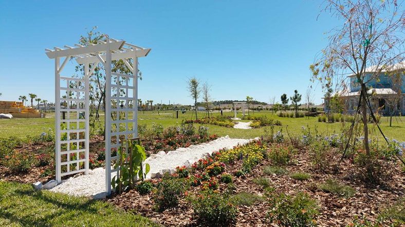 Emerald Landing at Waterside at Lakewood Ranch - Dragonfly Garden