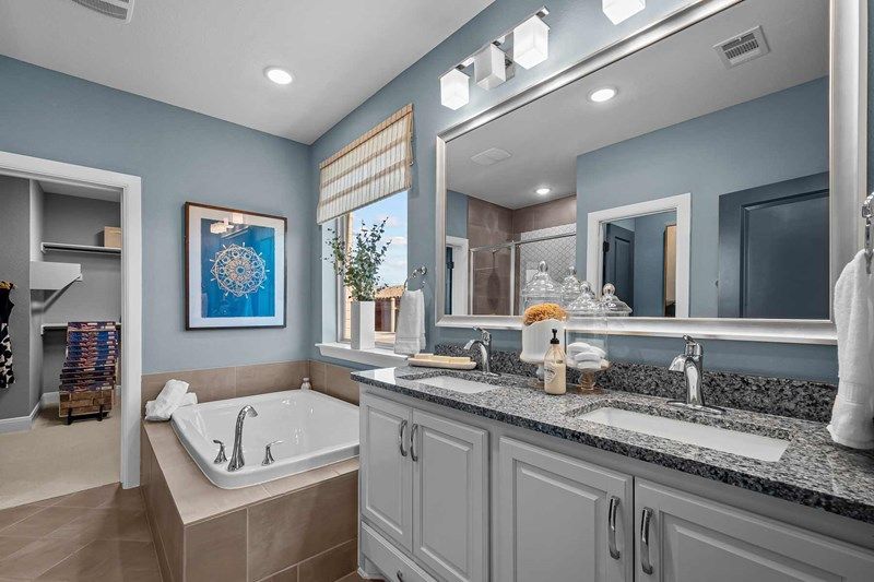 The Jewel - Owner's Bath