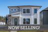casa en NoVi Chatham Park - The Garden Collection por David Weekley Homes