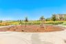 casa en Baseline Parkside West – Paired Homes por David Weekley Homes