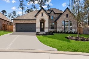 231 Sunrise Canvas Drive (Bluffwood)