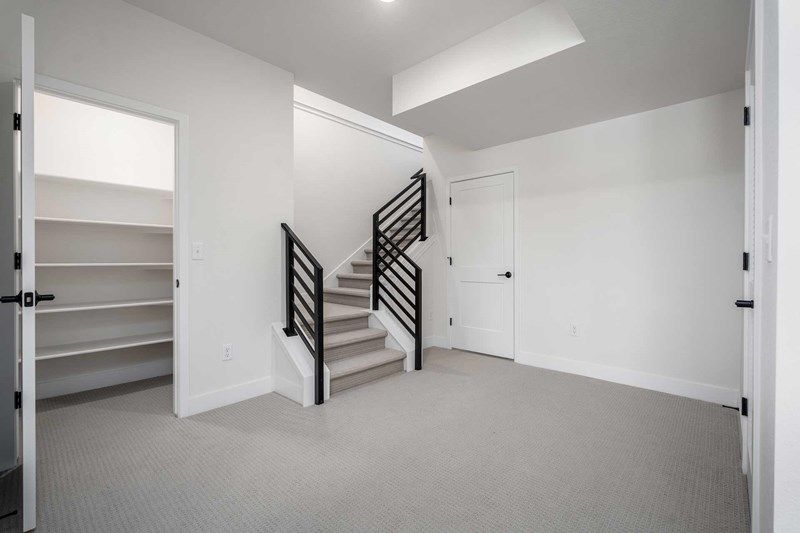 The Terra Linda - Finished Basement