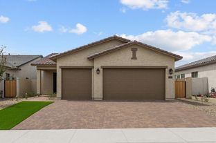 Darlington - Ironwing at Windrose: Litchfield Park, Arizona - David Weekley Homes