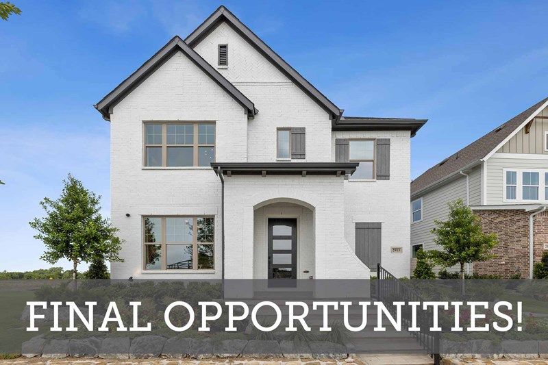 Painted Tree - Garden Series - Final Opportunities