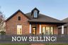 homes in Elements at Viridian - Signature Series by David Weekley Homes