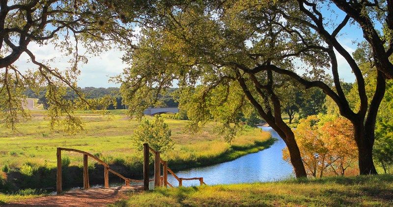 Caliterra - The Back Porch