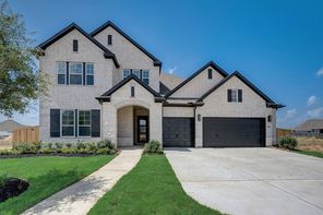 31210 Stella Sky Drive (Meadows)