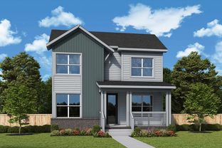 Pickney - NoVi Chatham Park - The Garden Collection: Pittsboro, North Carolina - David Weekley Homes