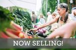 The River District – Pioneer Collection - Charlotte, NC