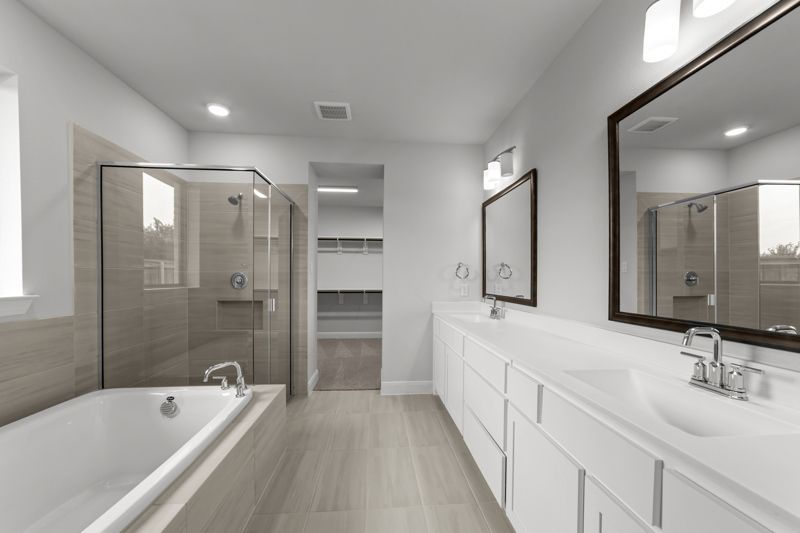Owner's Bath