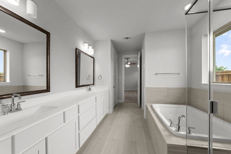 Owner's Bath
