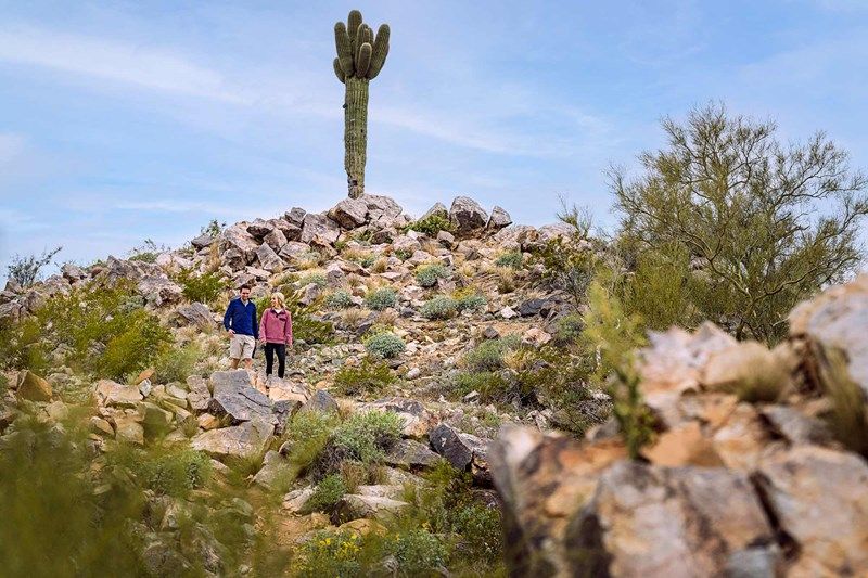 Experience Verrado Hiking