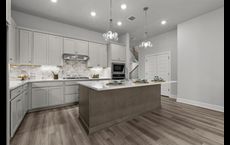 Goodnight Ranch 40': Austin, Texas - David Weekley Homes