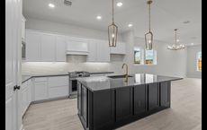 The Highlands 45' - Encore Collection: Porter, Texas - David Weekley Homes