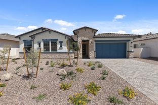 Azalea - Sierra at Alamar: Avondale, Arizona - David Weekley Homes