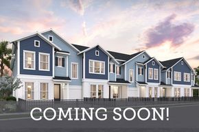 Persimmon Place - Townhomes - Wesley Chapel, FL