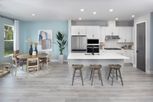 Persimmon Place - Townhomes - Wesley Chapel, FL